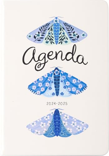 Blue Moth