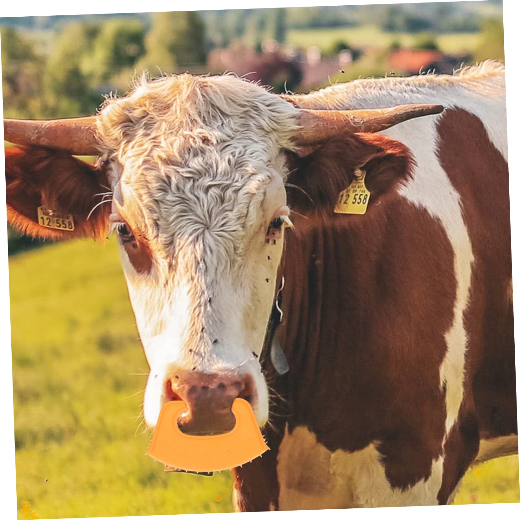 50 Pcs Orange PP Calf Weaner Rings - Livestock Nose Clamps for Cattle, Elk & Cows - Humane Training & Behavior Control - Perfect for Farm, Ranch & Dairy Use
