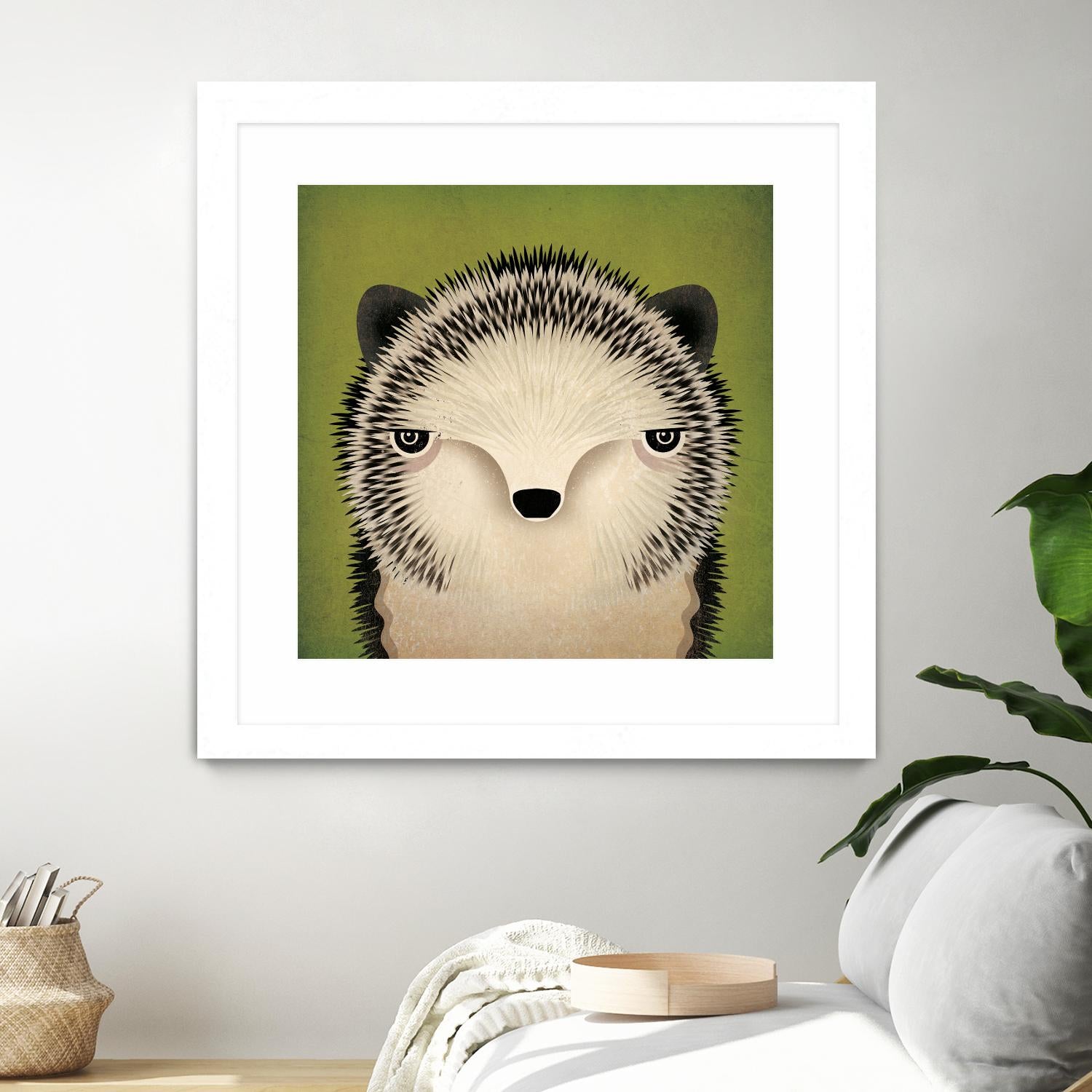 Adorable Baby Hedgehog Pet - Live Hedgehog for Sale | Perfect for Exotic Pet Lovers & Small Animal Enthusiasts | Great for Home Companionship & Educational Pets
