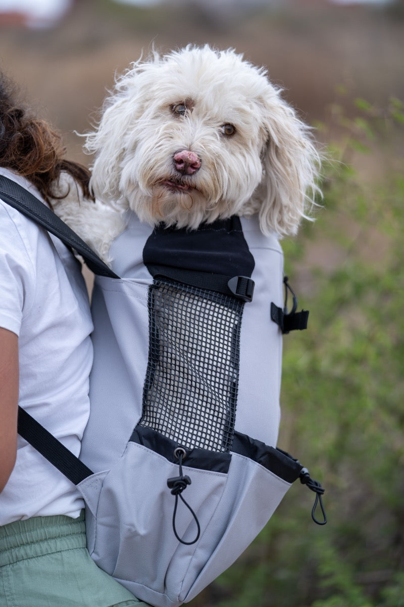 Ultra Lightweight Black Dog Backpack - 4 Sizes for Hiking, Travel & Outdoor Adventures with Your Pet | Sierra Dog Pack