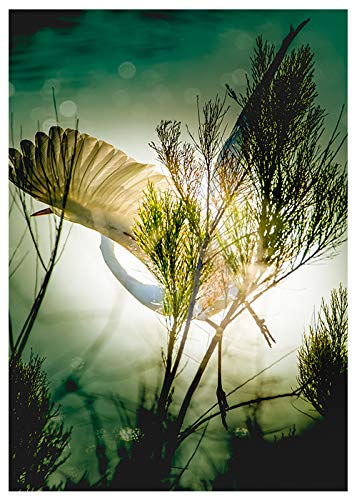 Sunrise Crane Birthday Card - Elegant Floral Design with 'Happy Birthday' Message Inside - Perfect for Friends, Family & Coworkers