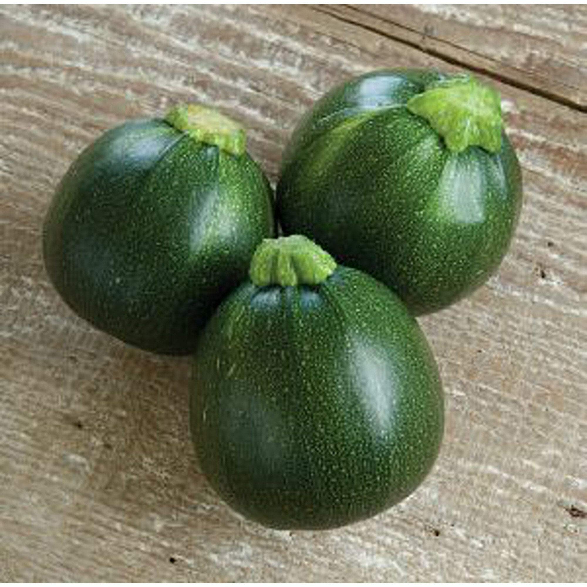 Non-GMO Heirloom Eight Ball Squash Seeds (25+ Seeds) - Organic Vegetable Garden Planting for Home Growers - Perfect for Container Gardening & Backyard Harvests