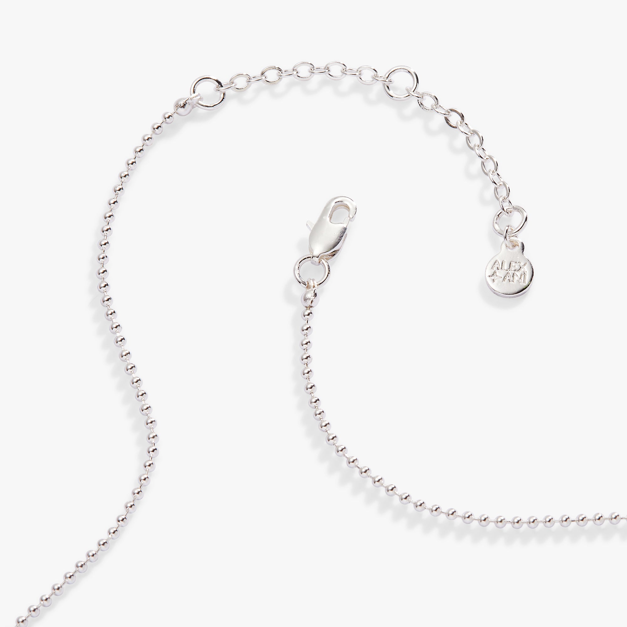 Capricorn Zodiac Double Sided Charm Necklace - Sterling Silver Horoscope Pendant for Women - Perfect Birthday Gift & Everyday Jewelry for Zodiac Lovers