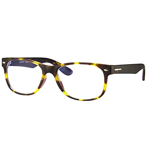 C: Matte Tortoise Frame
