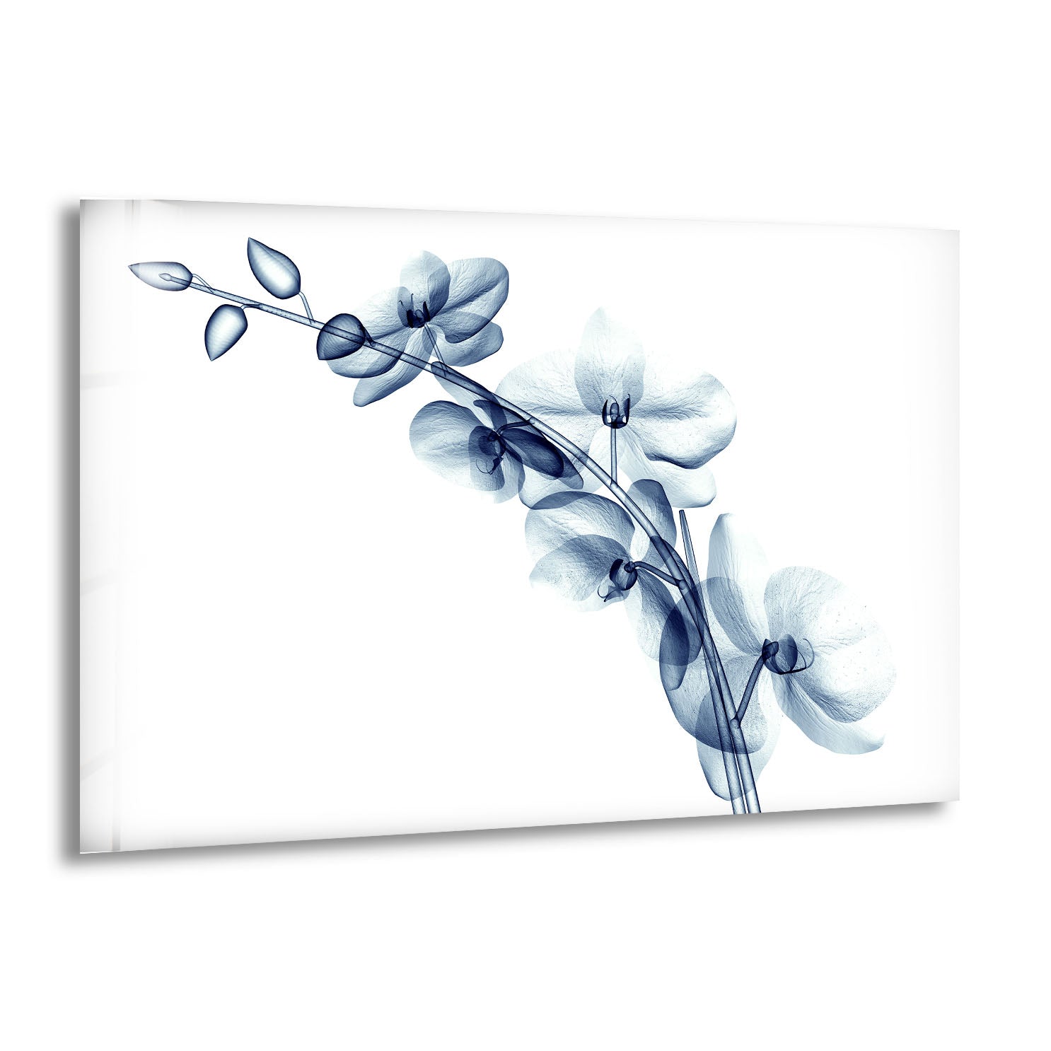 Blue Orchid Wall Art - Elegant Transparent Floral Glass Decor for Living Room, Bedroom & Office | Modern Home Decoration Gift Idea