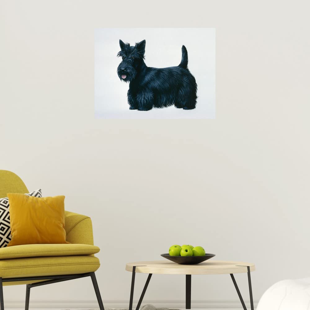 Moon Songs Canvas Wall Art by Sue Davis - Hand Painted Fine Art Print for Living Room, Bedroom, Office Decor - 28x21 Inch Ready to Hang Painting - Perfect for Home, Apartment & Commercial Spaces