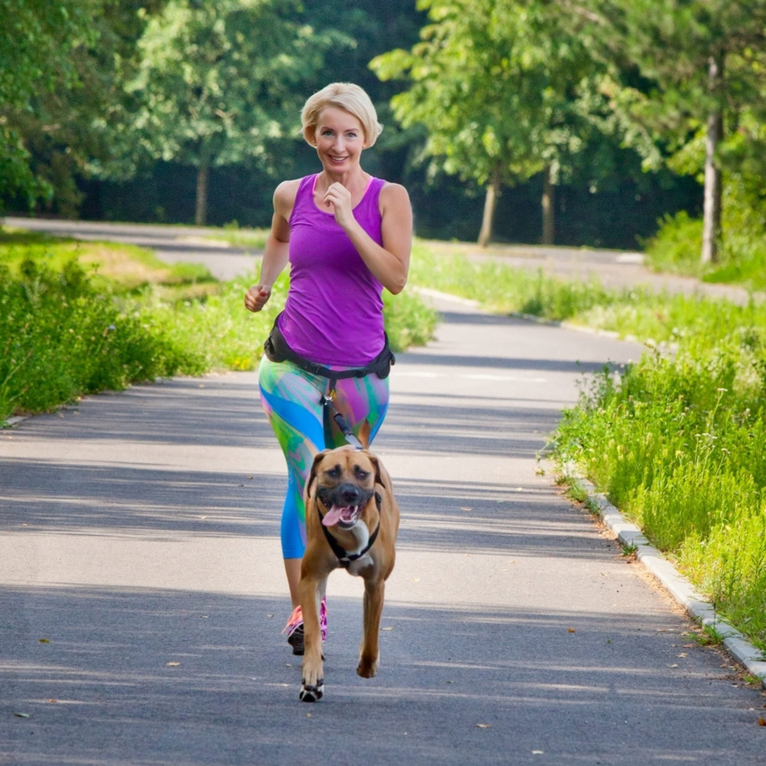 Hands Free Dog Leash Belt - Adjustable Bungee Leash for Large, Medium & Small Dogs | Perfect for Walking, Running, Hiking & Training | Comfortable Waist Belt with Two Snap Hooks (Model Z30005)