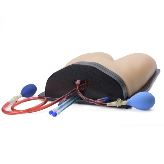 Gen II Femoral Vascular Access & Regional Anesthesia Ultrasound Training Model - Medical Simulation for Ultrasound-Guided Procedures Practice