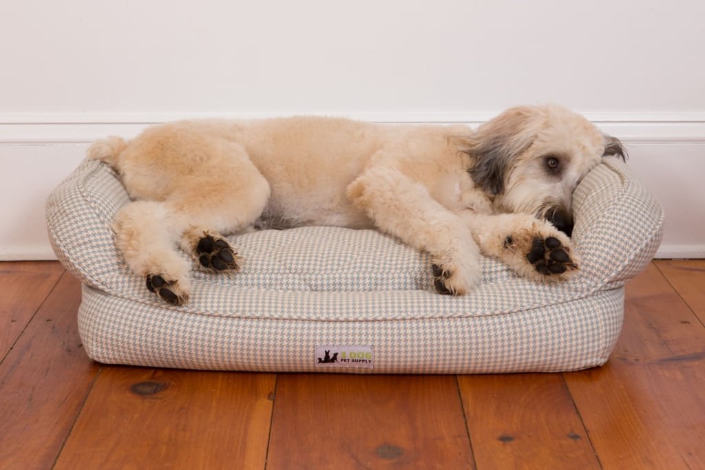 Premium Memory Foam Dog Bed with Washable Cover - Small Orthopedic Pet Bed for Small Dogs & Puppies - Perfect for Crates, Car Rides & Home Comfort