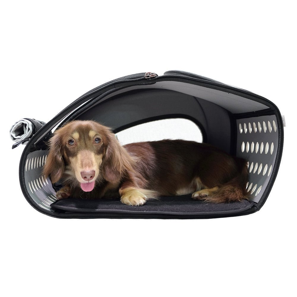 Ibiyaya 5-in-1 Combo Pet Carrier & Stroller for Small Dogs & Cats - Lightweight, Foldable Travel Carrier with Wheels (Blue) | Perfect for Air Travel, Vet Visits & Outdoor Adventures