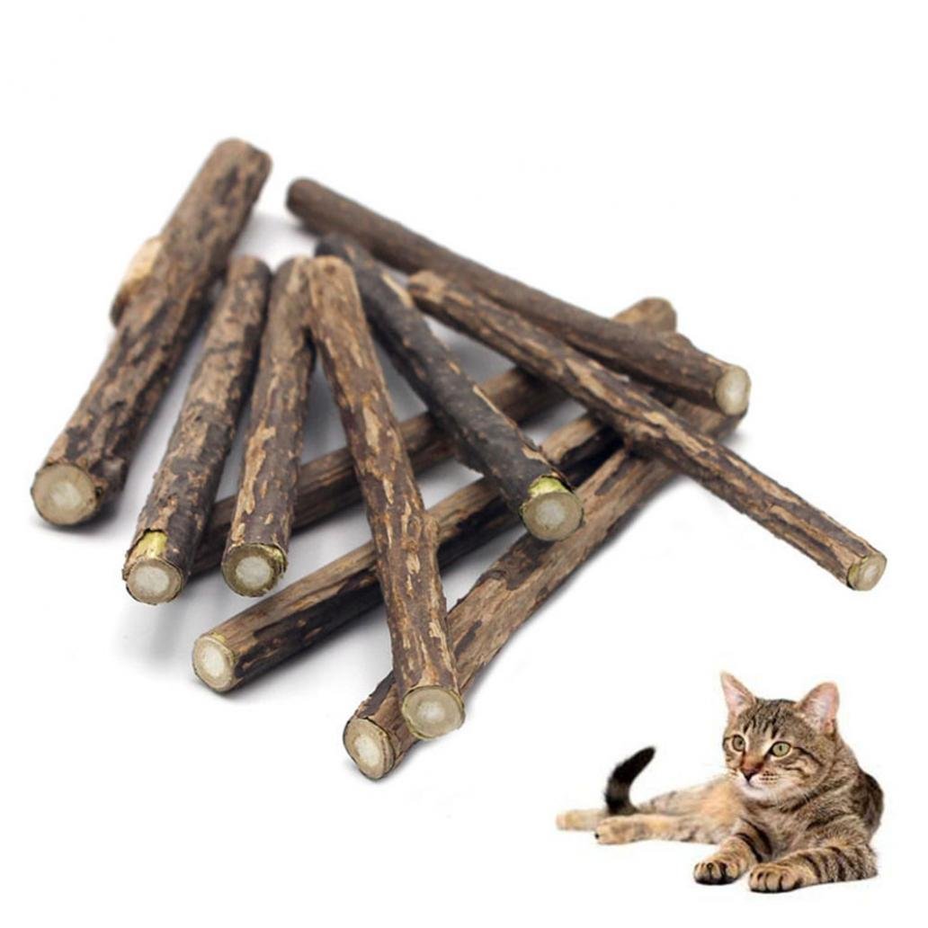 5Pcs Natural Cat Teeth Cleaning Sticks with Catnip - Dental Care Chew Toys for Kittens & Adult Cats - Freshens Breath & Reduces Plaque - Perfect for Daily Oral Hygiene & Playtime