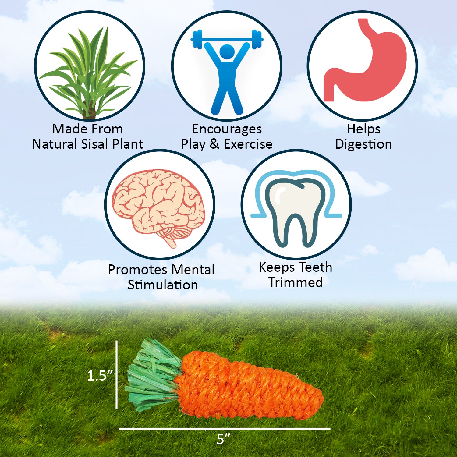 Natural Woven Grass Carrot Chew Toy for Dogs - Safe & Durable Pet Chew for Teething, Anxiety Relief & Dental Health - Perfect for Small & Medium Breeds