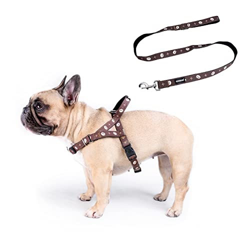Coffee Bean Harness with Leash