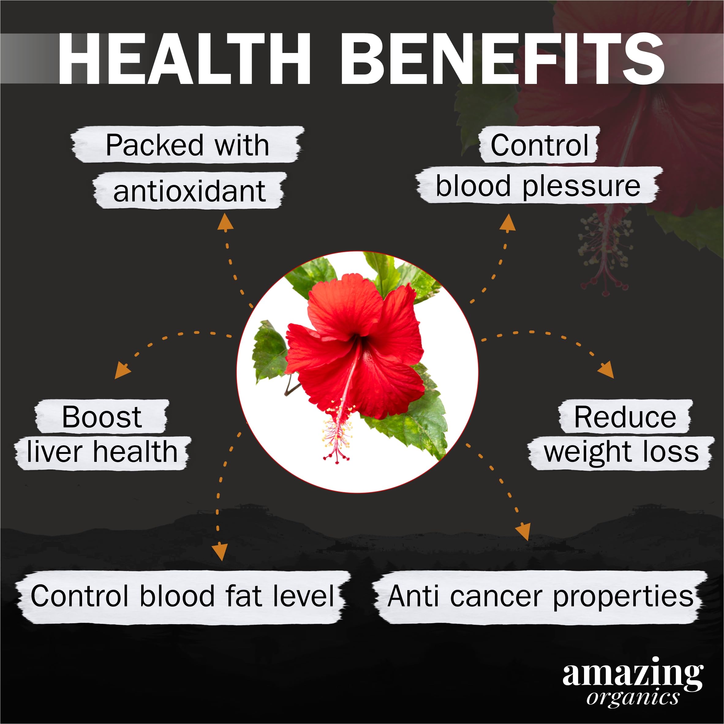 Organic Hibiscus Flower Powder for Face, Hair & Skin Care - Natural Anti-Aging, Acne Treatment & Hair Growth Solution | DIY Beauty Masks, Smoothies & Herbal Remedies