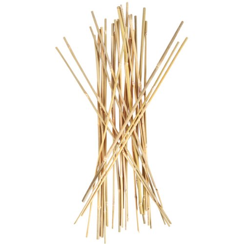 Smart Support Bamboo Stakes 4 Feet Tall (25 Pack) - Garden Plant Stakes for Tomatoes, Vines, Flowers | Durable Natural Bamboo Plant Supports for Outdoor Gardening