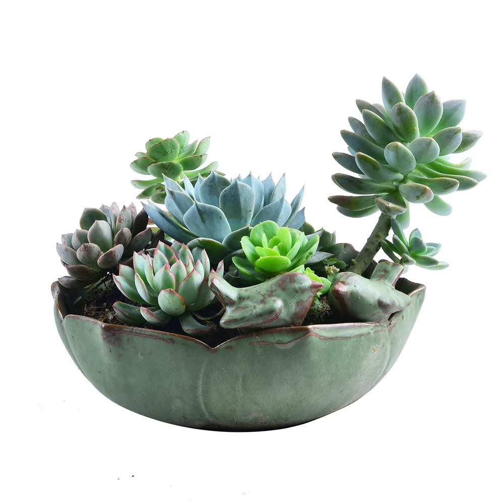 10 Inch Ceramic Planter Pot - Green Indoor Outdoor Flower Plant Pot for Succulents, Herbs, Flowers | Perfect for Home Decor, Garden, Balcony, Office & Patio