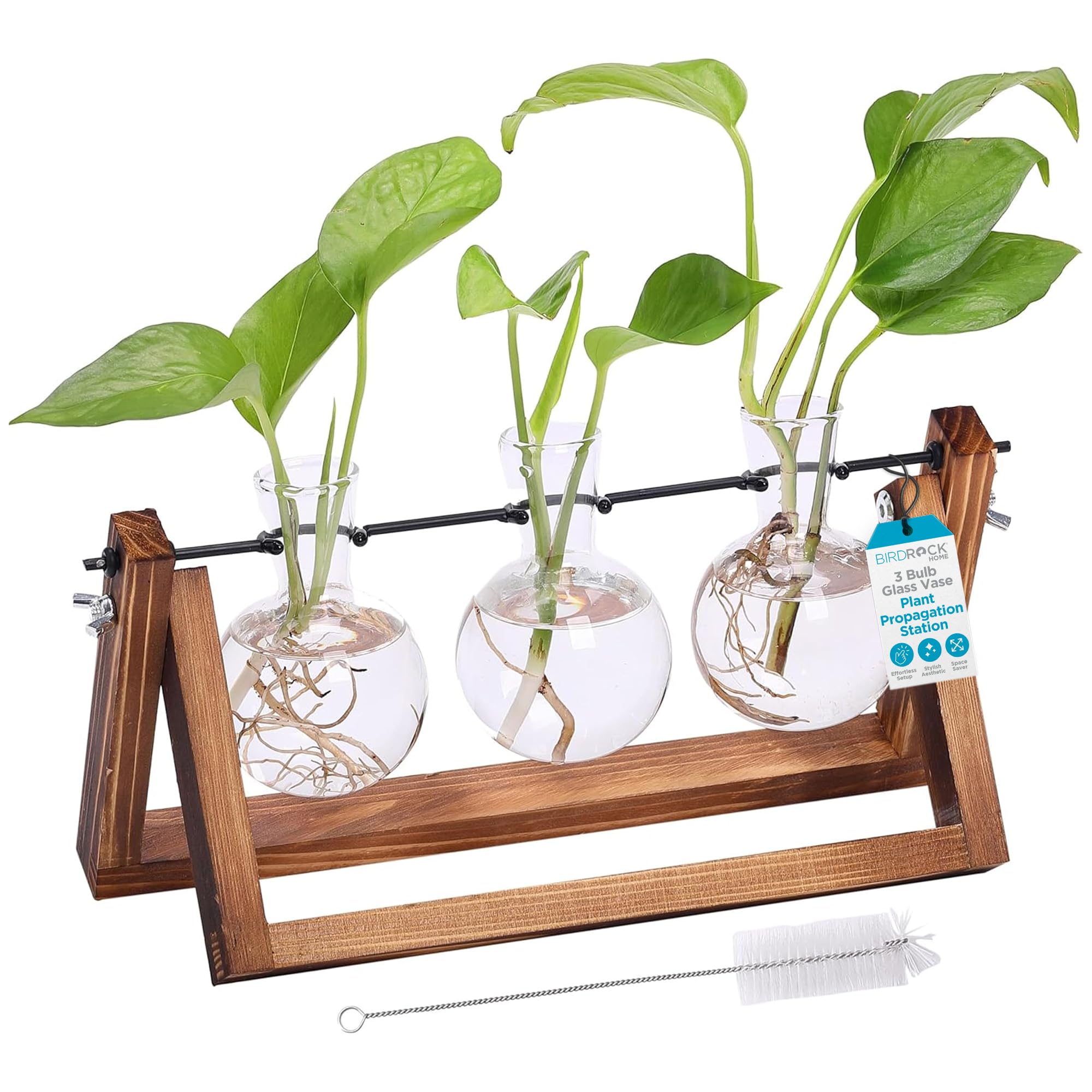 BIRDROCK HOME 3-Bulb Glass Propagation Station with Wooden Stand - Hydroponic Plant Terrarium for Home, Office & Garden - Perfect Gift for Plant Lovers (Ideal for Growing Herbs, Succulents & Flower Cuttings)