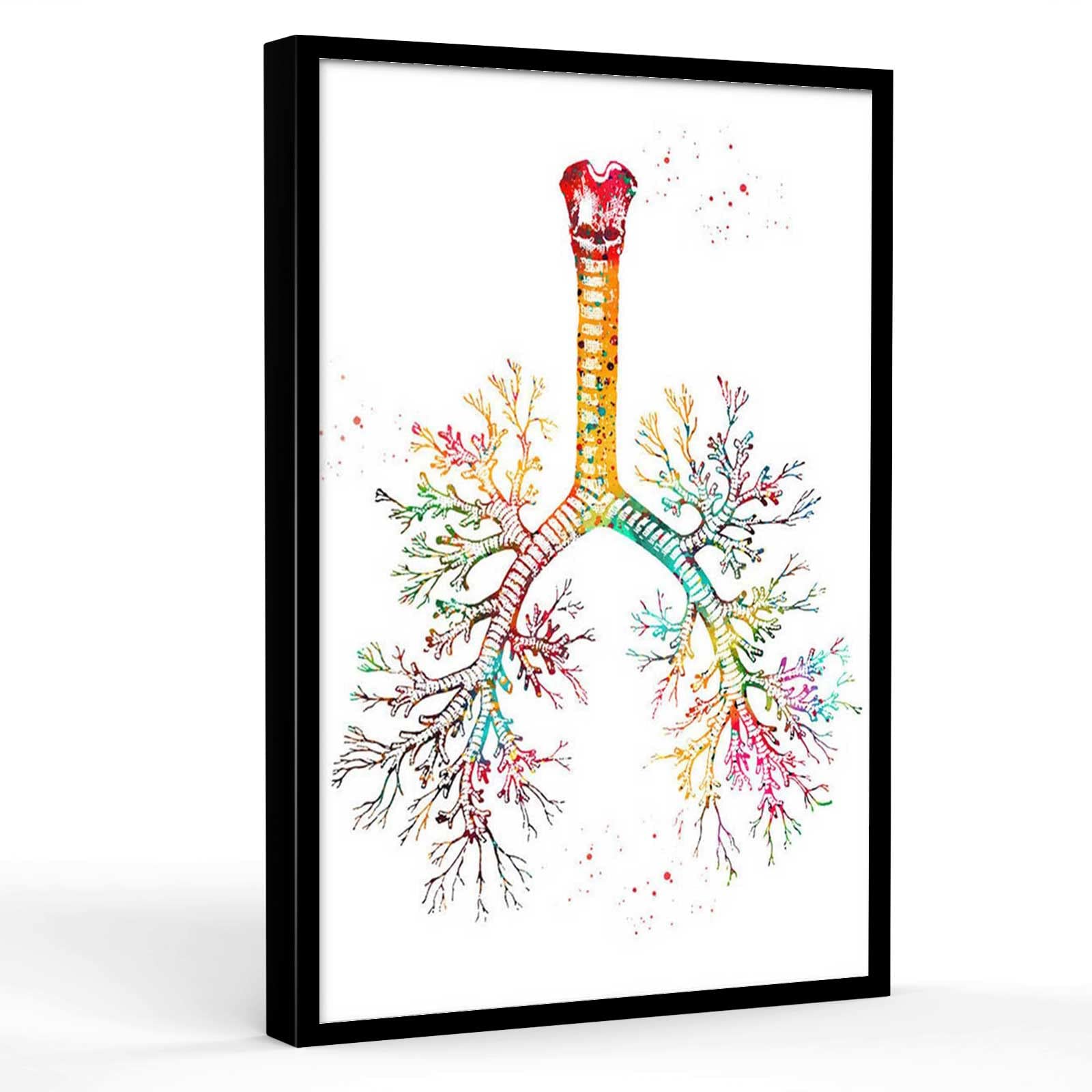 Human Respiratory System Anatomy Poster - Medical Biochemistry Pathways & Bronchial Tree Lungs Art (16x24 Inch Framed Canvas) - Perfect for Doctors Office, Medical School Classroom & Science Home Decor - Great Gift for Pulmonologists & Physiology Students