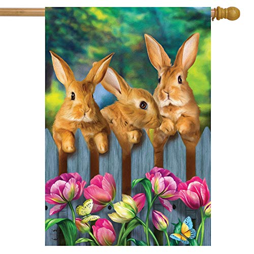 01 - Garden Bunnies