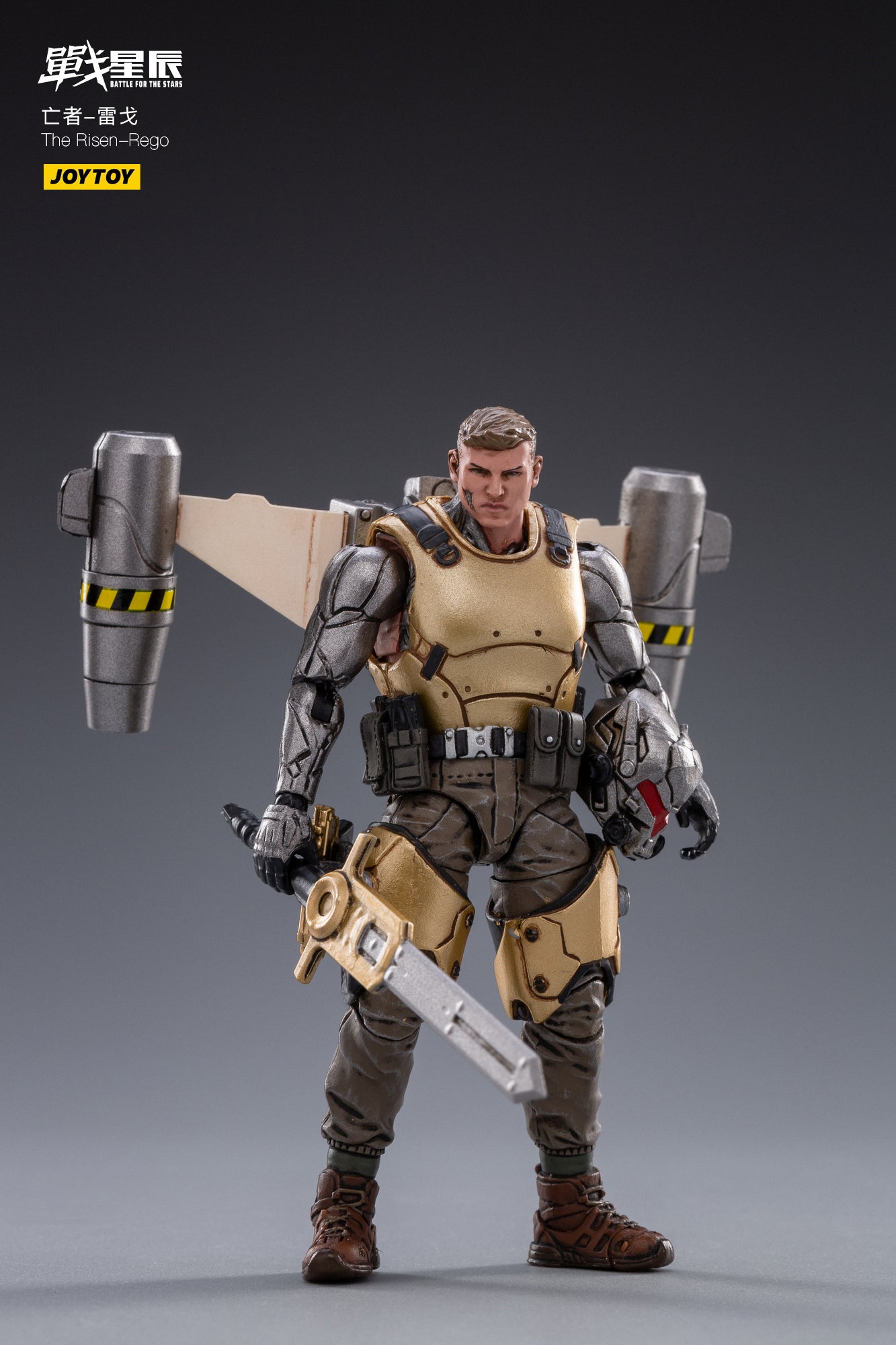 JOYTOY 1/18 Scale Military Action Figure - Anime Collectible Model Toy for Display & Role Play | Perfect for Anime Fans, Collectors & Military Enthusiasts