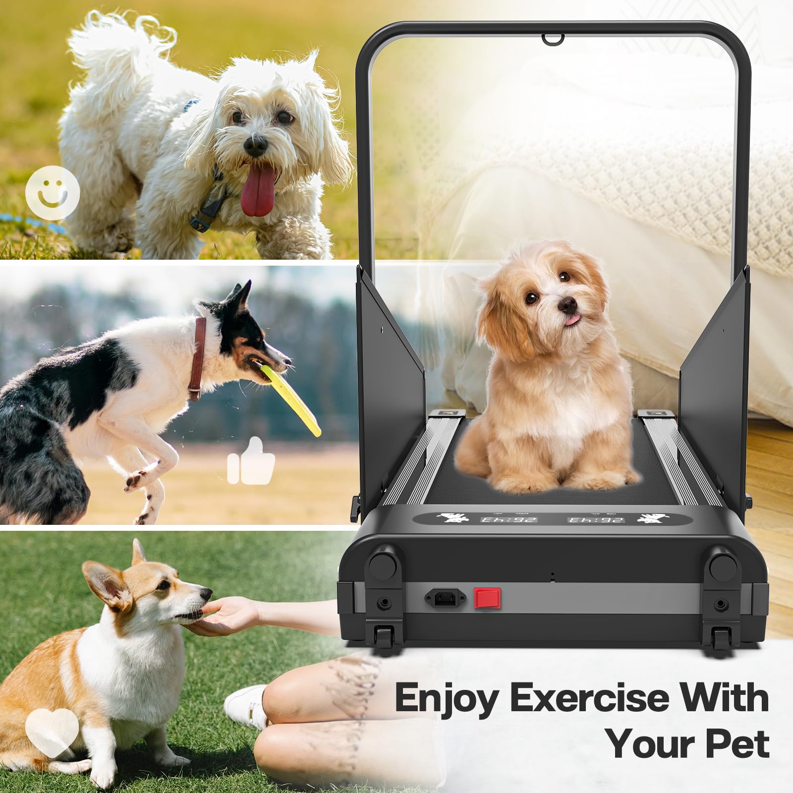 2.5HP Foldable Dog Treadmill for Small & Medium Dogs - 220lbs Weight Capacity, 2-in-1 Dog Pacer & Running Machine for Home Use - Perfect for Indoor Exercise, Pet Fitness Training & Weight Management