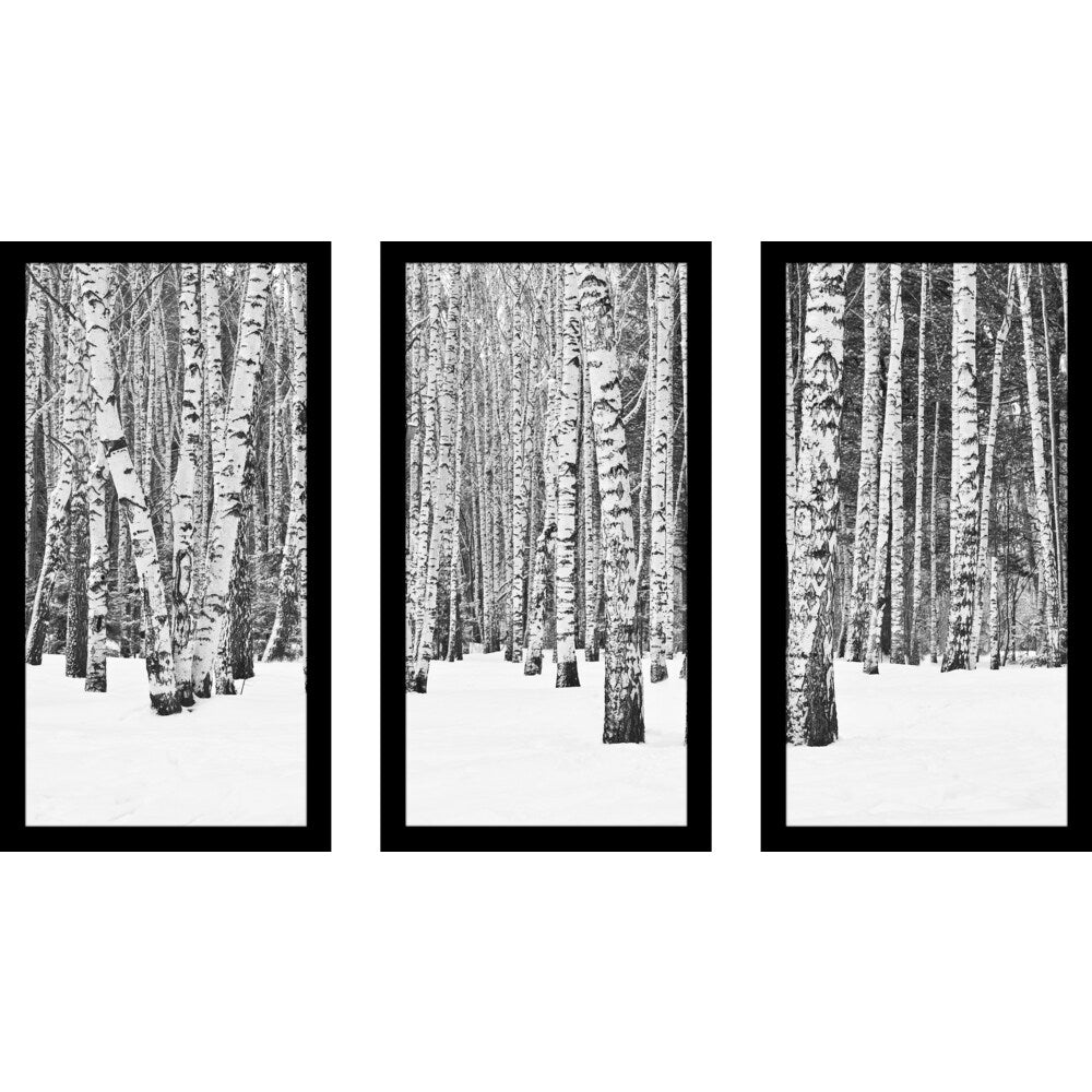 Birch Trees in Winter - Set of 3 Framed Plexiglass Wall Art Decor for Living Room, Bedroom & Office