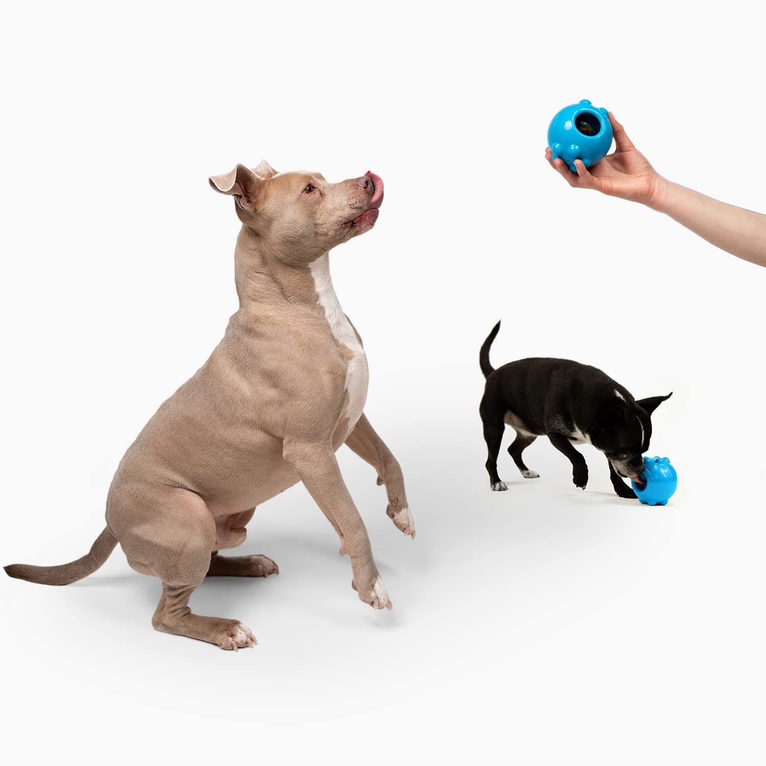 Jolly Dipper Treat Dispensing Dog Toy - Interactive Puzzle Feeder for Small & Medium Dogs - Fun Training Reward Toy for Indoor & Outdoor Play