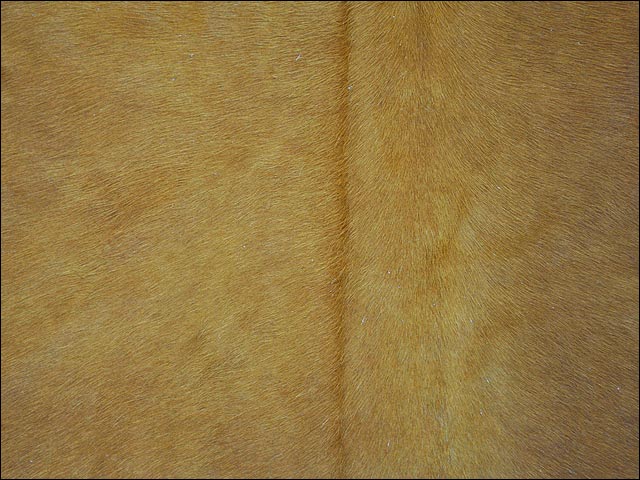 8 Ft X 7 Ft Premium Brazilian Cowhide Rug - Natural Hair-On Leather Area Carpet for Living Room, Bedroom & Office Decor - Durable & Stylish Home Floor Covering