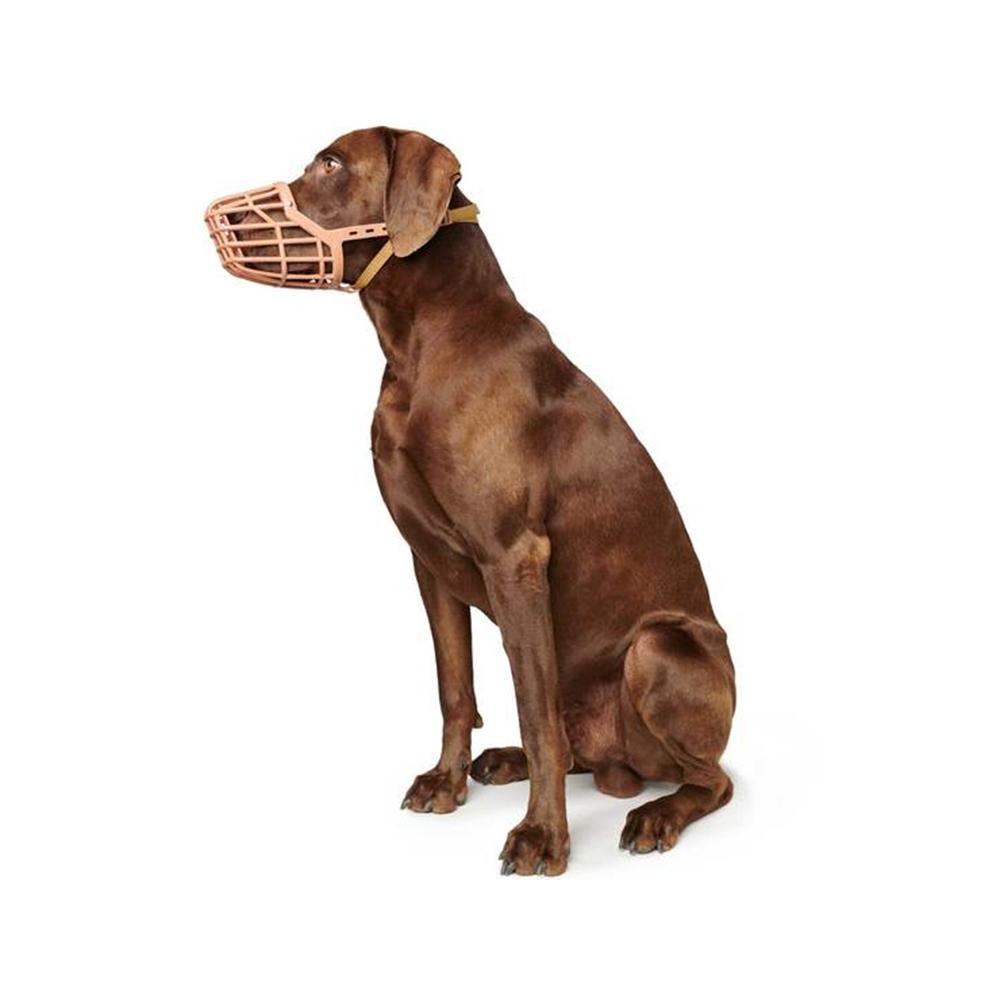 Durable Plastic & Nylon Dog Muzzle - Adjustable Pet Safety Muzzle for Biting Prevention, Training, and Grooming - Perfect for Small, Medium & Large Dogs