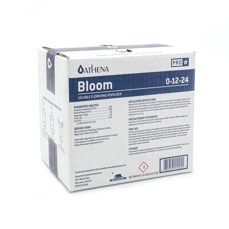 Athena Bloom Premium 10lb Gift Box - Perfect for Birthdays, Anniversaries & Corporate Gifting | Luxury Floral Arrangement with Fresh Flowers