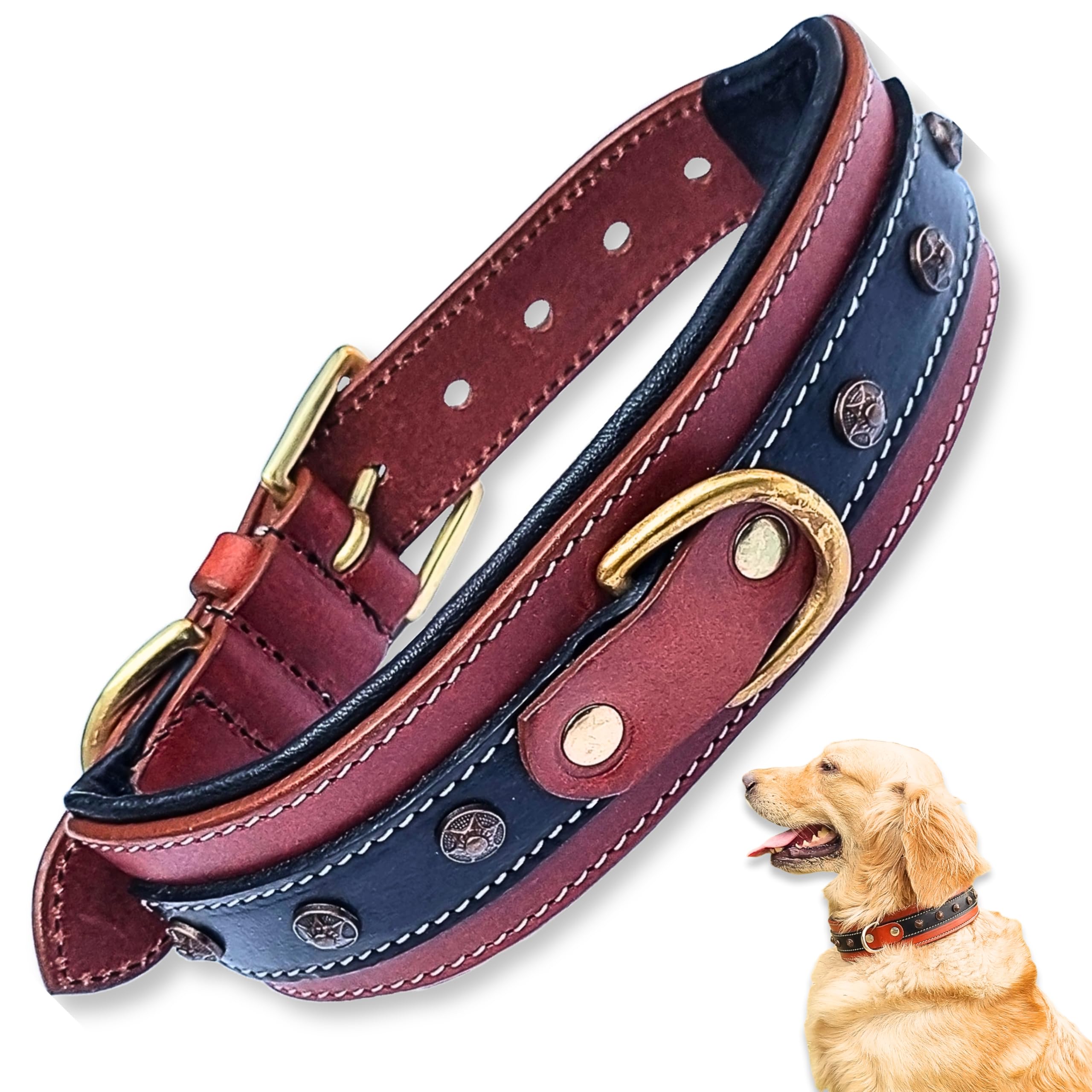 Premium Genuine Leather Dog Collar with Soft Padding & Brass Studs - 2 Inch Wide Adjustable Pet Collar for Medium Dogs - Durable & Comfortable for Daily Walks, Training & Outdoor Adventures