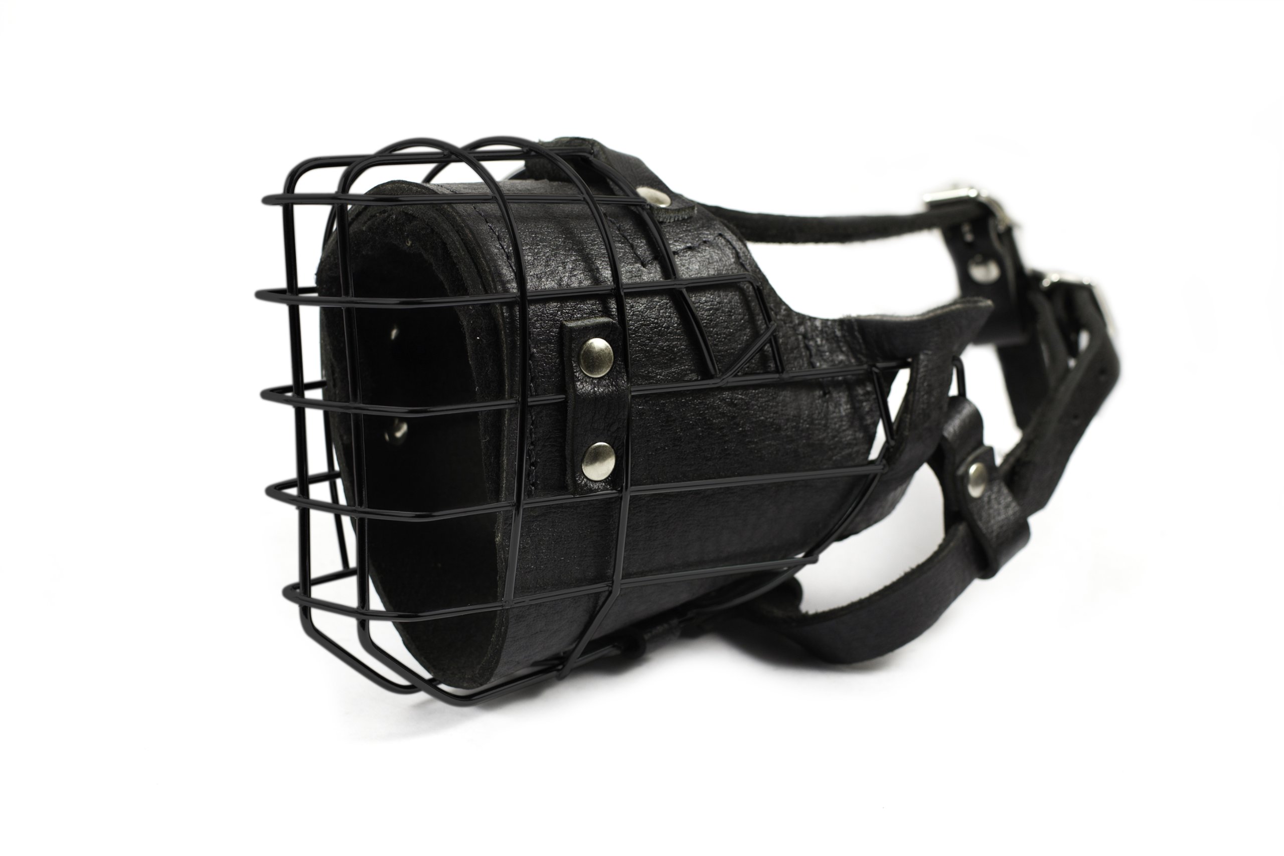 Dean and Tyler DT Freedom Winter Black Padded Muzzle for Rottweiler - Size No. 17 - Warm & Comfortable Dog Muzzle for Cold Weather - Perfect for Walking, Training & Outdoor Activities