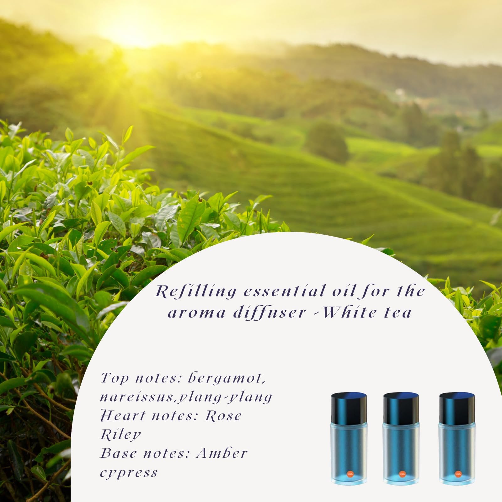 Smart Car Air Freshener Refills - 3 Pack Chanel Scented Diffuser Refills for Car, Home & Office | Long-Lasting Fragrance for Fresh & Clean Air