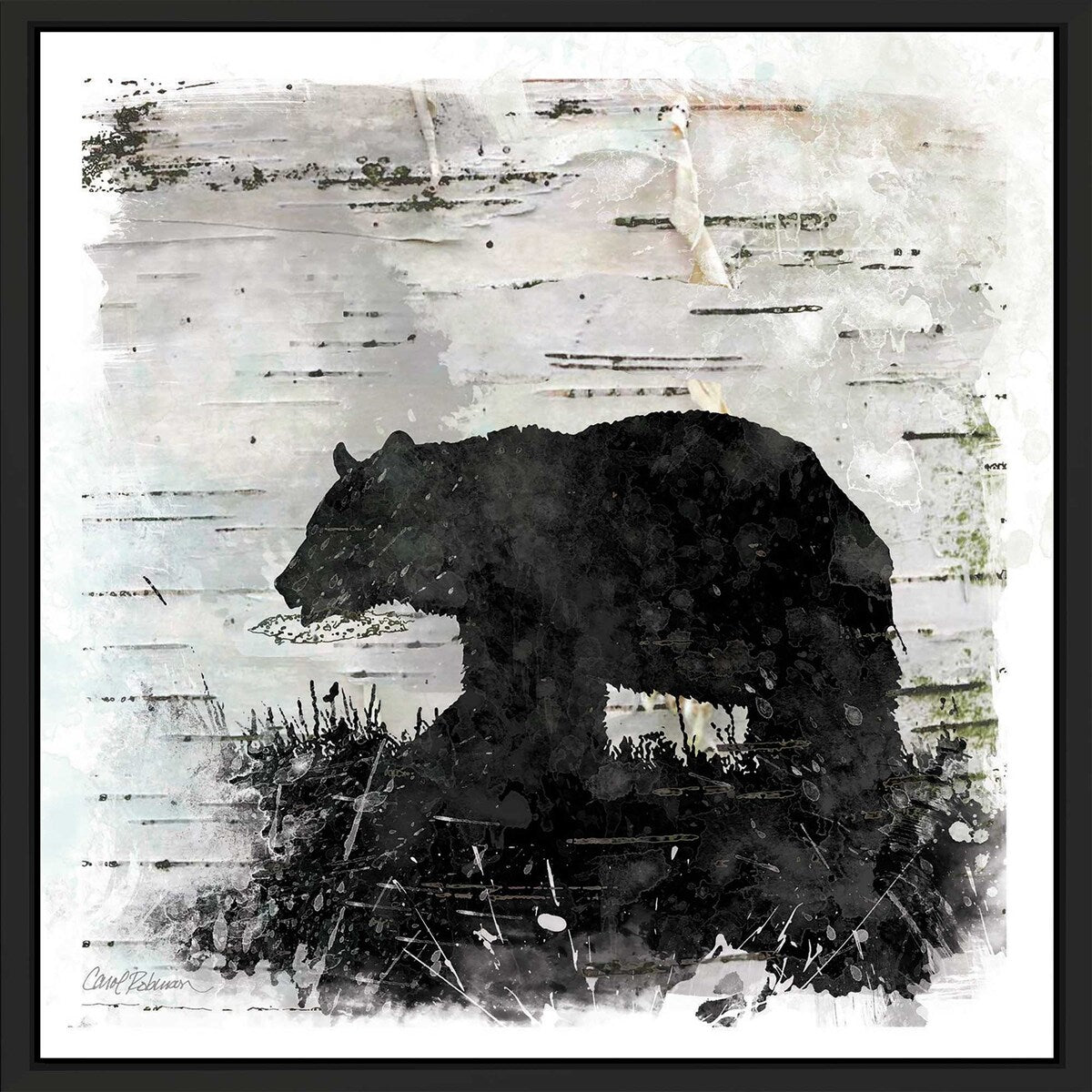 Birchbark Bear by Carol Robinson - Floating Canvas Wall Art Print - Nature Inspired Decor for Living Room, Bedroom & Office