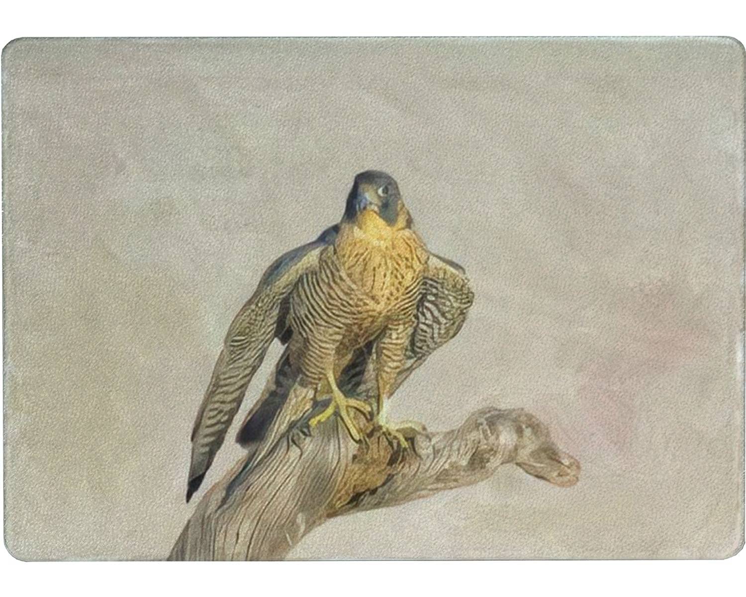 Premium Tempered Glass Cutting Board with Peregrine Falcon Design - Non-Slip Legs, 15