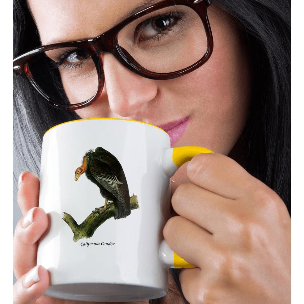3D Rose 11oz California Condor Coffee Mug by John James Audubon - Funny Novelty Gift for Bird Lovers - Perfect for Home, Office & Outdoor Use