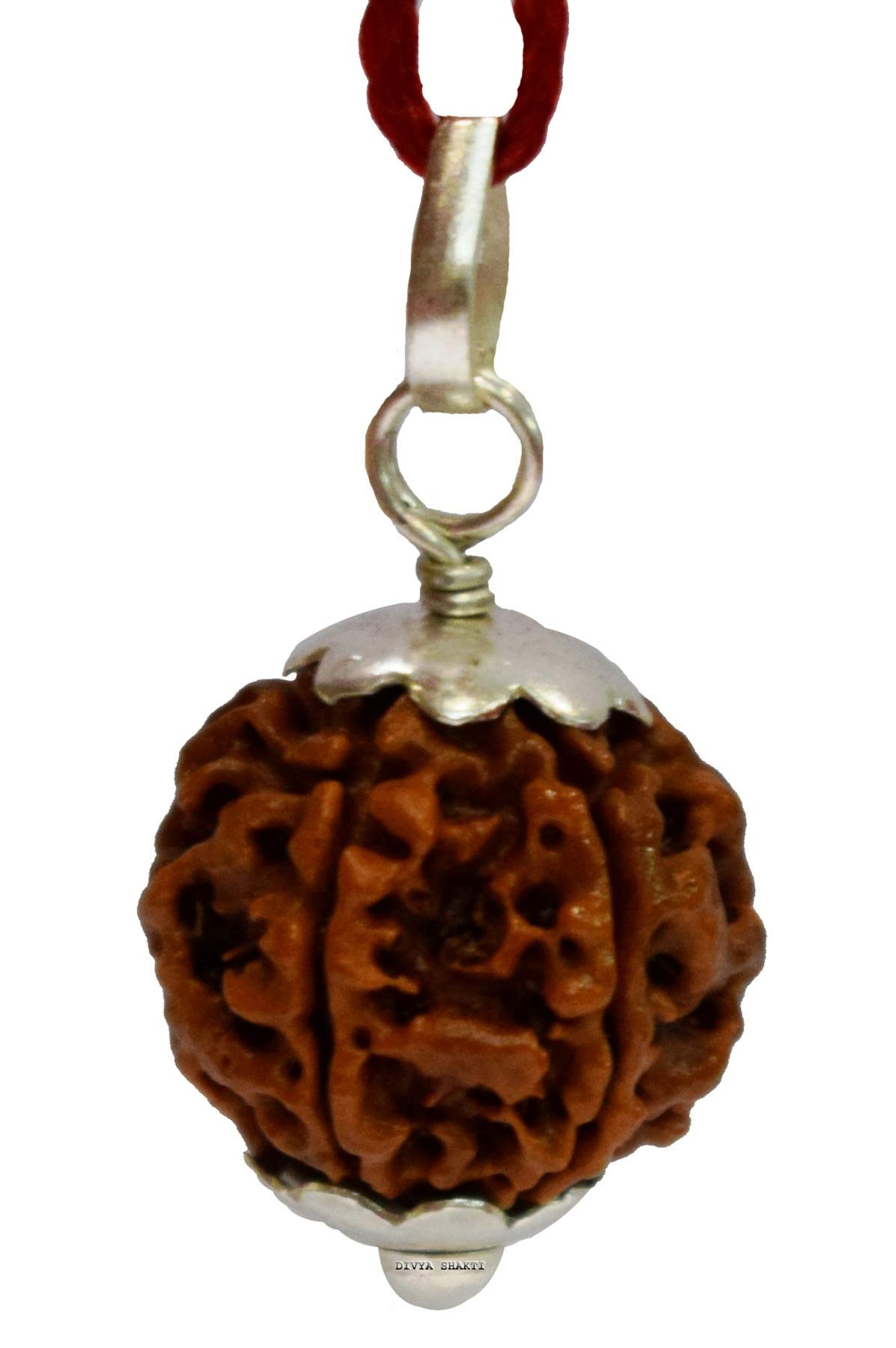 Divya Shakti 6 Mukhi Nepali Rudraksha Silver Pendant Necklace for Men & Women - 20mm Spiritual Meditation Bead Jewelry for Yoga, Mindfulness & Positive Energy