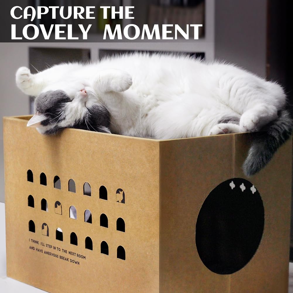 Durable Cat Cardboard House with 2 Scratching Pads - Large Cat Scratcher Bed & Lounge for Indoor Cats - Corrugated Detachable Cat Scratcher Box (Cactus Design) - Perfect for Playtime, Napping & Claw Maintenance
