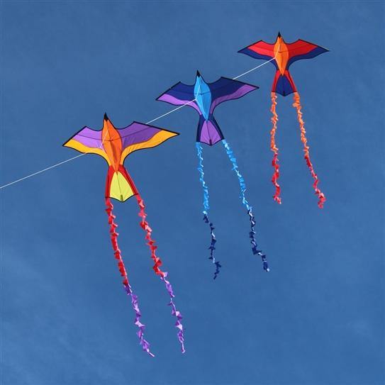 Colorful Tropical Parrot Kite - Purple & Gold Design for Outdoor Flying Fun | Beach, Park & Backyard Activities