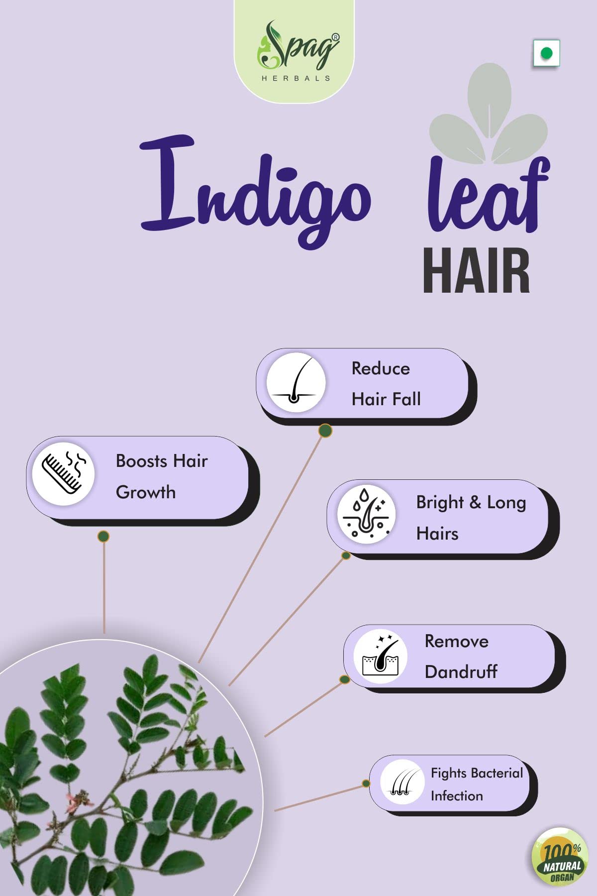 Premium Organic Indigo Powder for Natural Hair Care & Strength - 250g | Chemical-Free Herbal Hair Dye & Gray Coverage | Perfect for DIY Hair Masks, Henna Blends & Ayurvedic Treatments