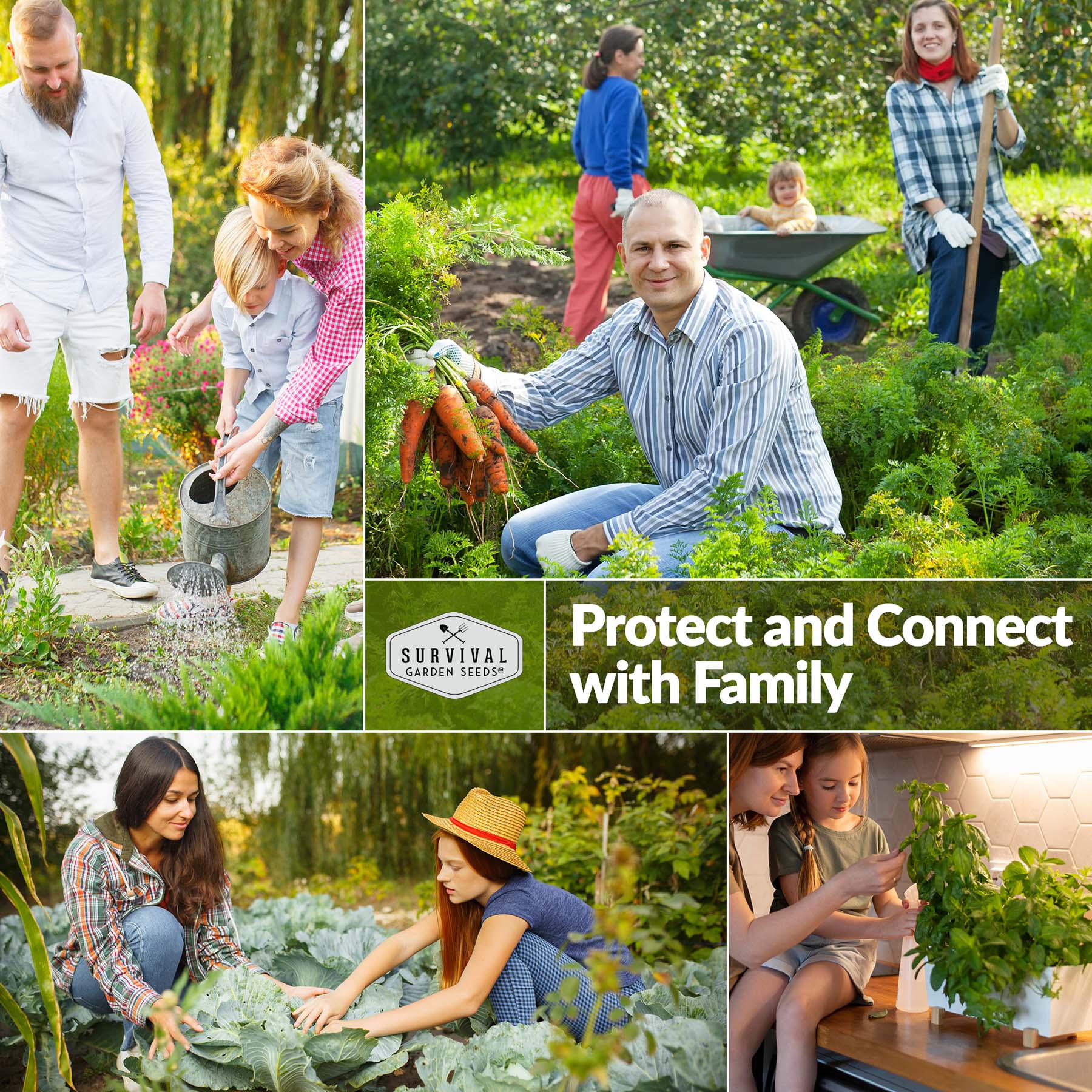 Georgia Rattlesnake Watermelon Seeds for Planting - Non-GMO Heirloom Variety - Sweet Juicy Melons for Home Garden, Farmers Market & Fresh Eating