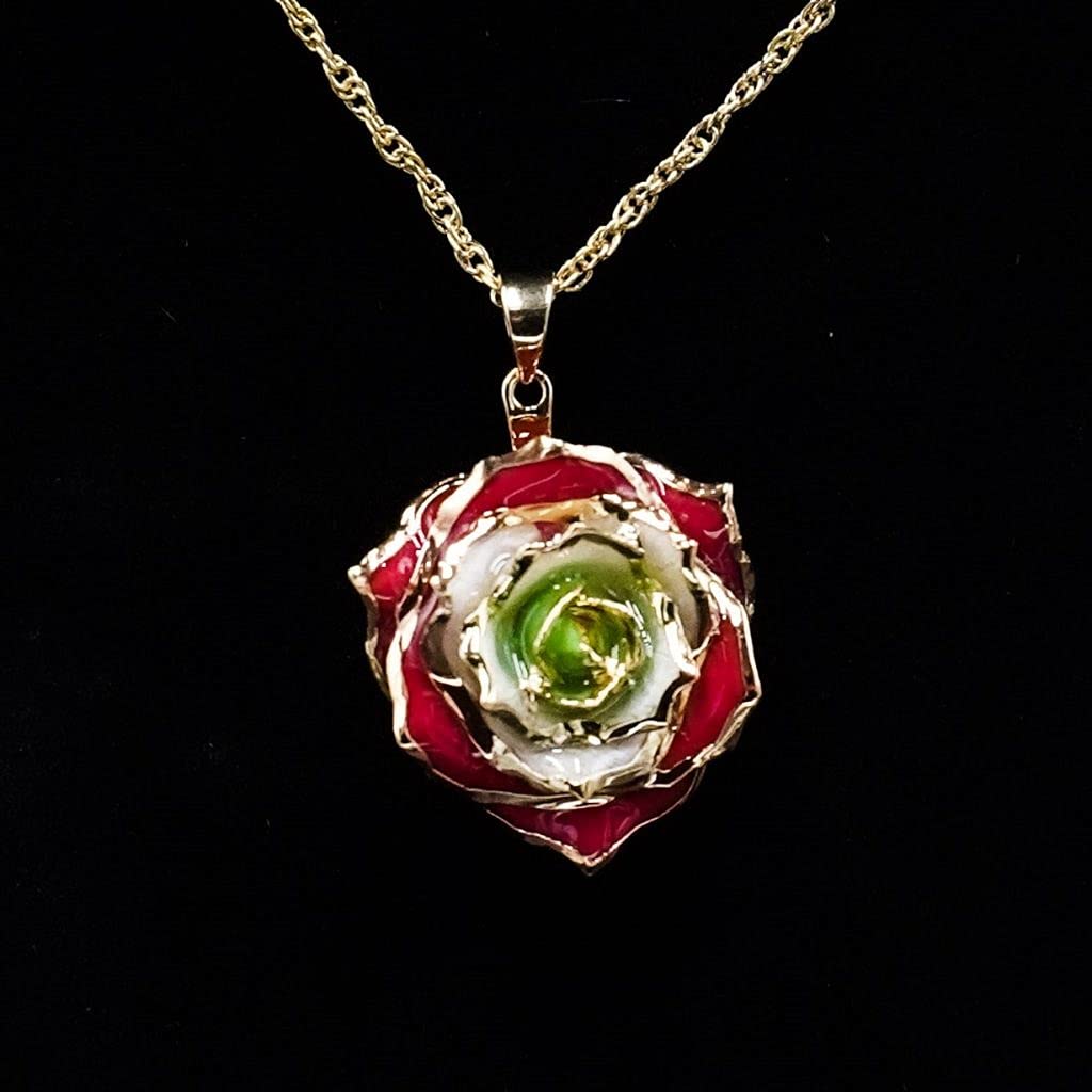24K Gold Dipped Eternal Rose Necklace - Real Preserved Flower Jewelry for Women, Anniversary Gift, Valentine's Day Present, Wedding Proposal Keepsake - Perfect for Romantic Occasions & Special Moments