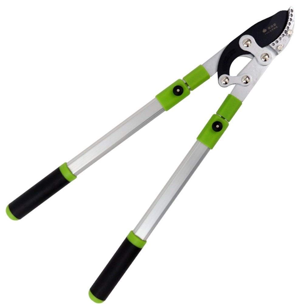 SK-5 Steel Telescopic Tree Loppers - Extendable 27-40 Inch Long Handle Garden Pruner with Geared Anvil Design | Lightweight & Labor-Saving Branch Cutter for Trimming Trees, Shrubs & Heavy Duty Gardening | Perfect for Professional Landscapers & Home Gardeners