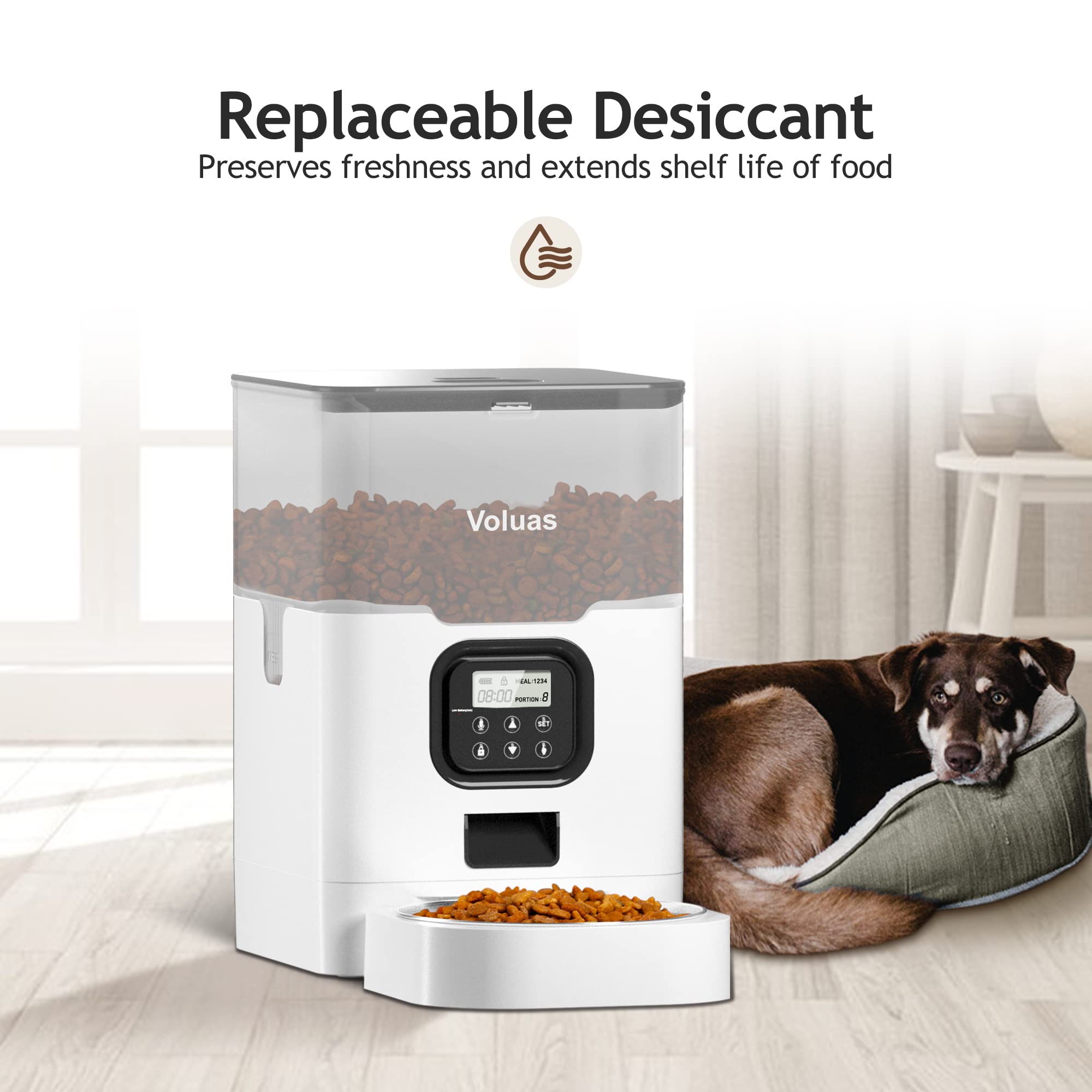 VOLUAS Automatic Cat Feeder with Timer - Programmable Dry Food Dispenser for 4 Meals Daily, Voice Recorder & Desiccant Bag | Perfect for Busy Pet Owners & Multi-Cat Homes