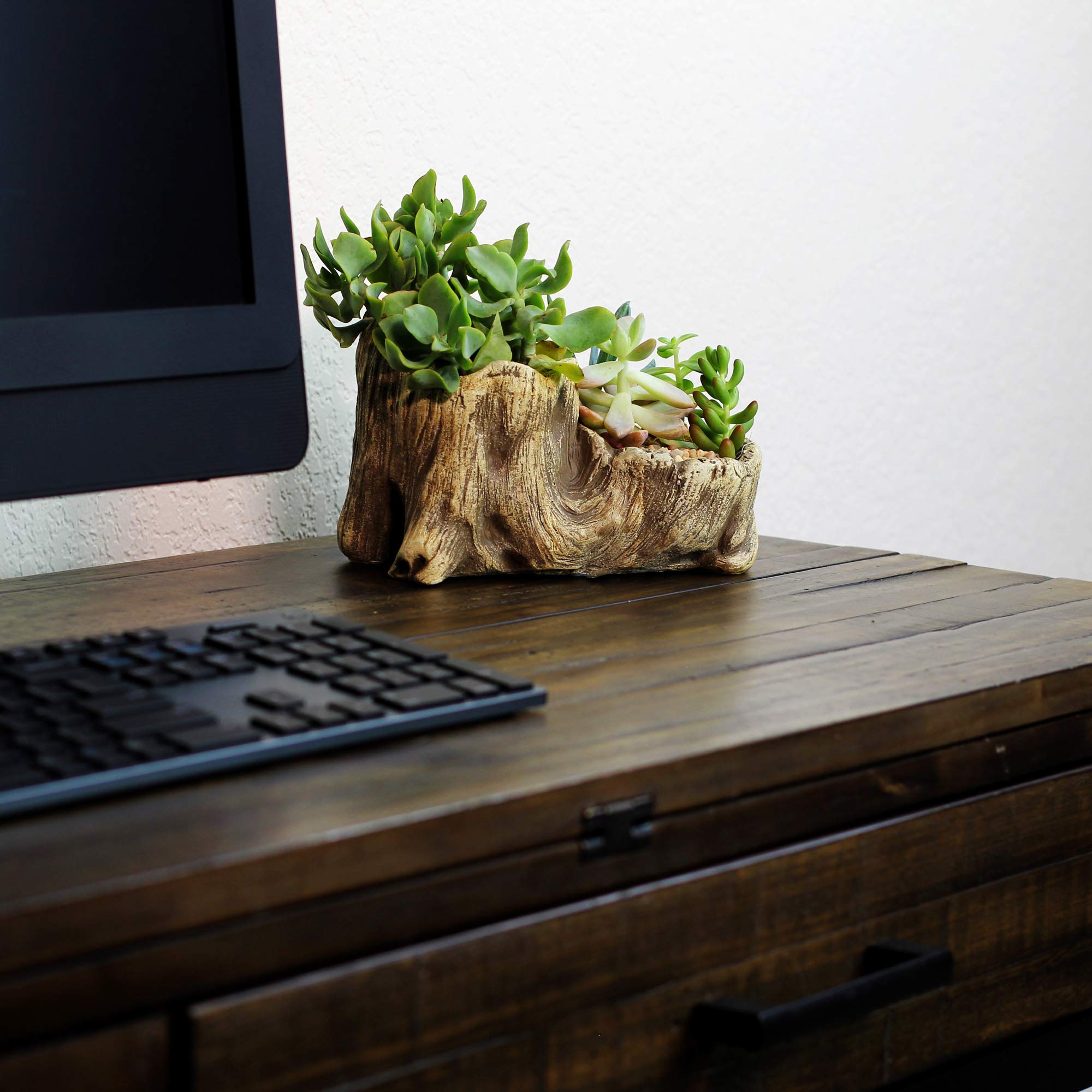 Ceramic Wood Plant Pot - Indoor Wood Planter with Unique Log Design for Succulents, Flowers & Small Plants | Perfect for Home Decor, Office Desk & Gift Giving (Driftwood Boot Style)