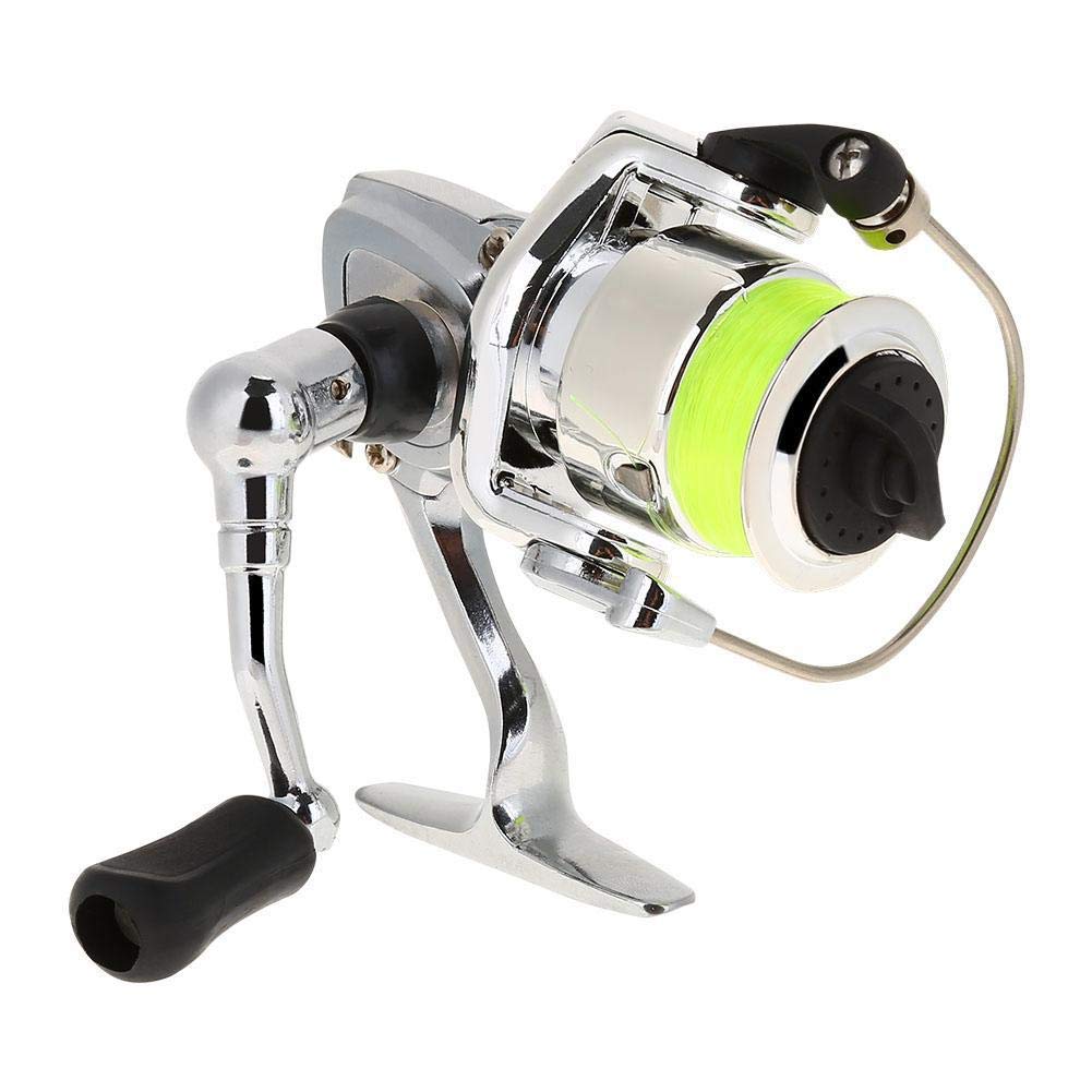 BGSFF Fishing Reel - High Performance Casting Reel with Foldable & Exchangeable Design for Saltwater, River and Stream Fishing - Perfect for Surf, Pier and Kayak Fishing Adventures