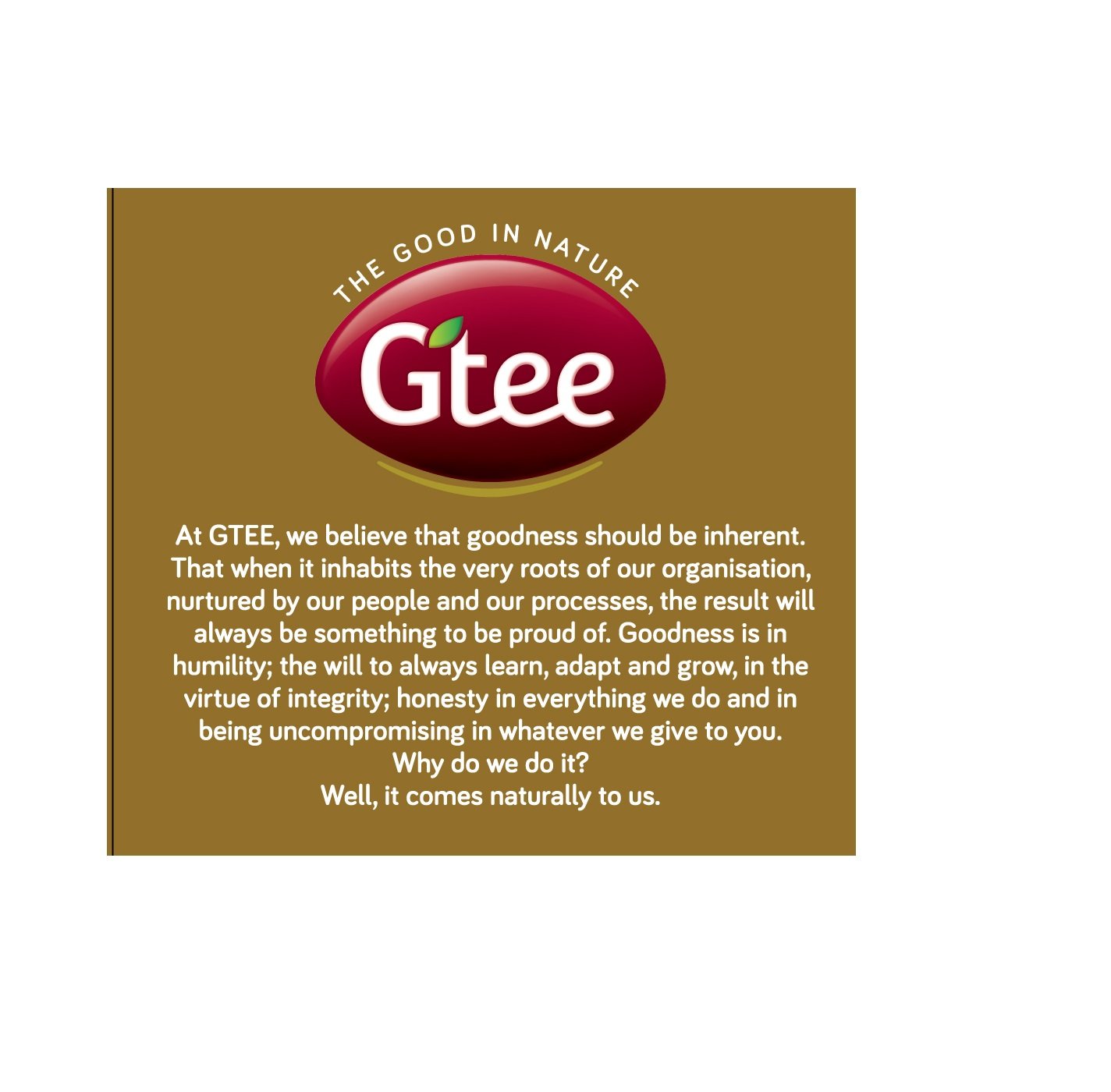 Premium GTEE Green Tea Bags with Ginseng - 25 Count | Antioxidant-Rich Herbal Tea for Energy & Wellness | Perfect for Morning Boost, Afternoon Relaxation & Office Hydration
