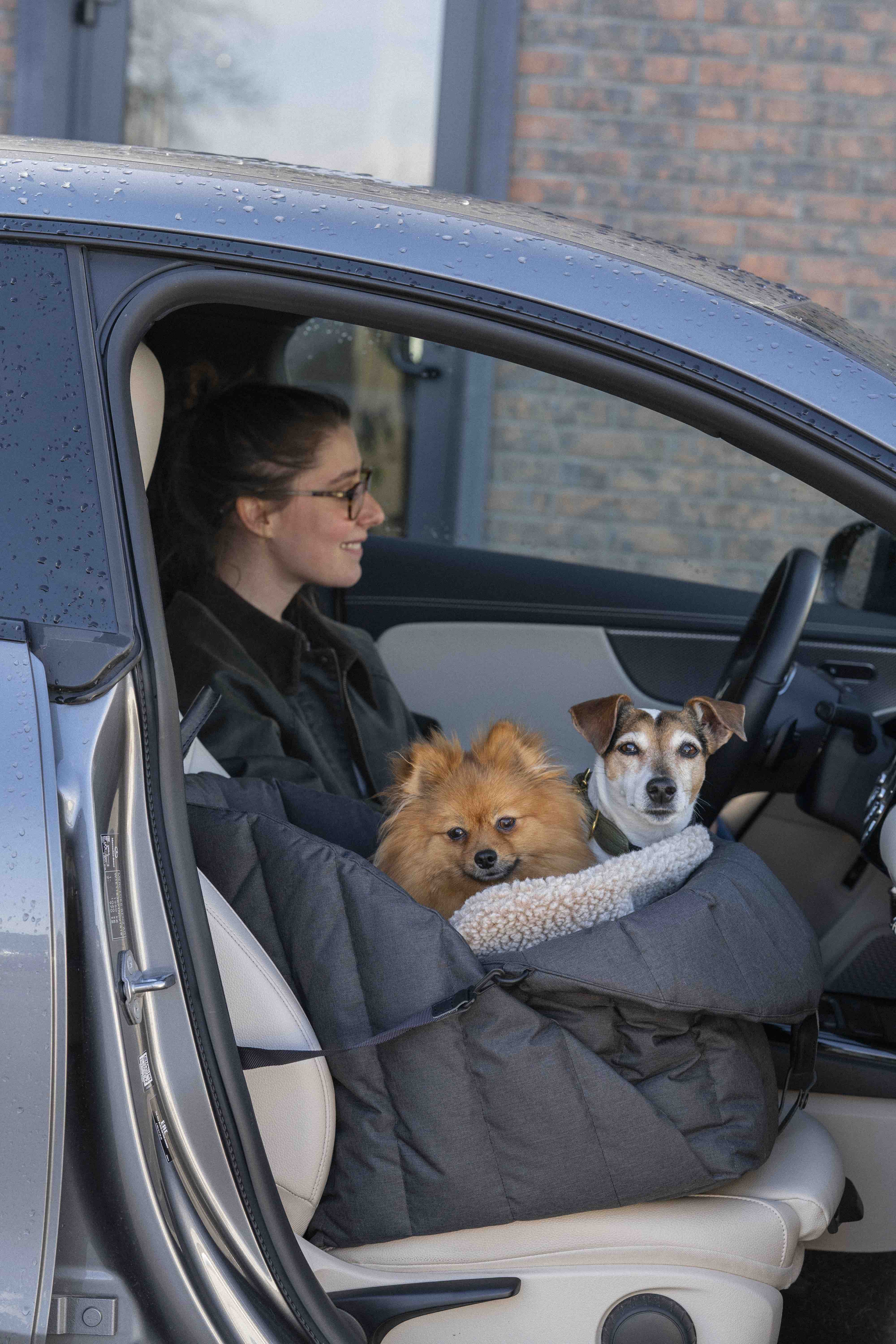 Premium Black Dog Car Seat - Safe & Comfortable Pet Travel Carrier for Small to Medium Dogs - Perfect for Road Trips & Daily Commutes