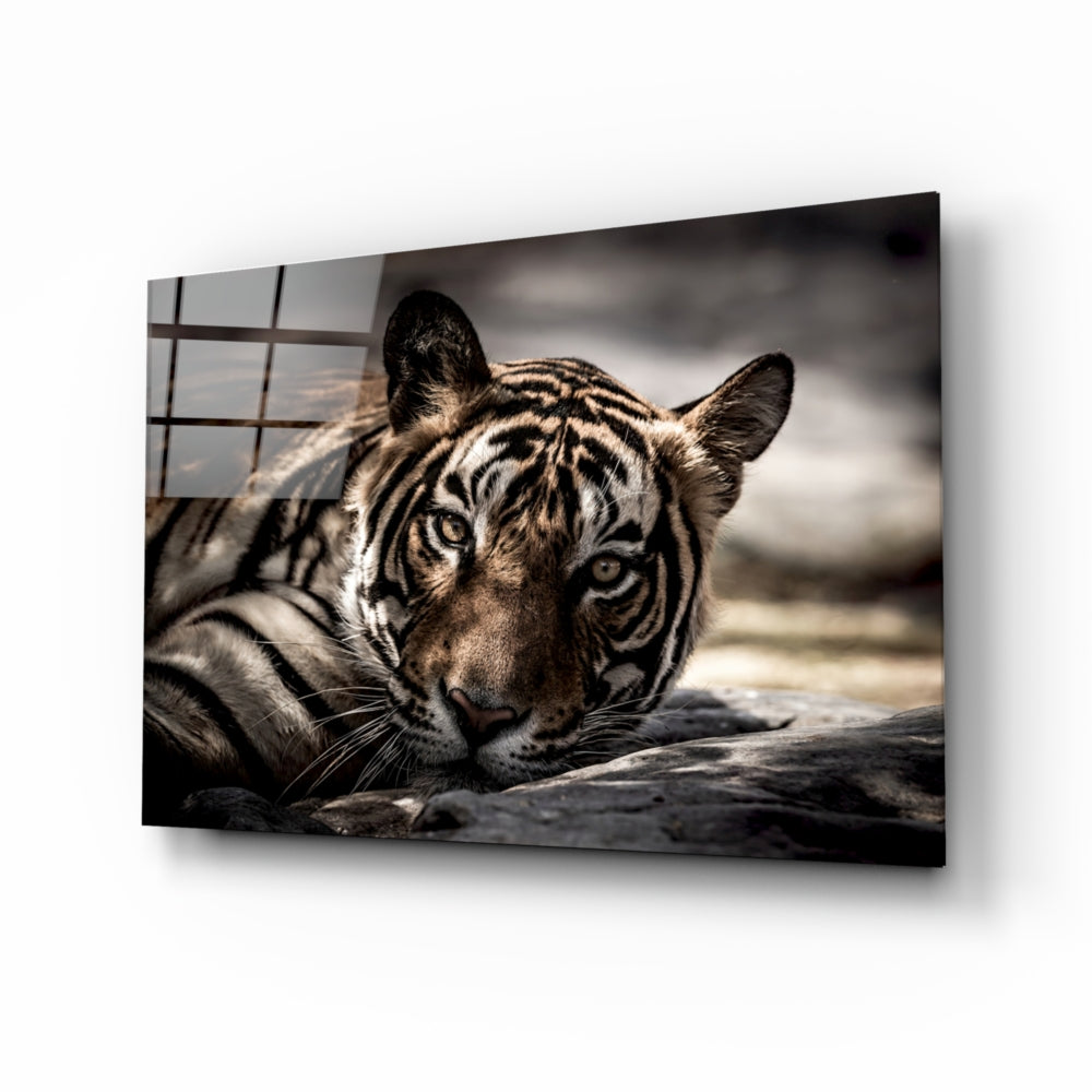 The Tiger - Premium Tiger-Themed Home Decor & Gifts for Jungle Safari Enthusiasts - Perfect for Animal Lover's Bedroom, Nursery, or Office Decor