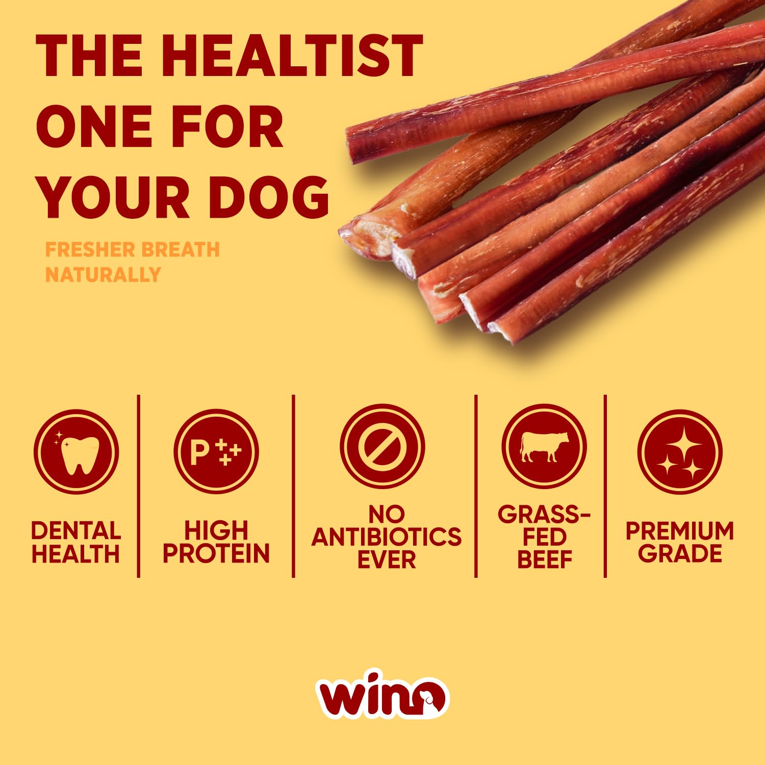 Premium Bully Sticks for Dogs - 5 Pack of 4 Inch All-Natural Beef Chews | 100% Digestible, Odor-Free, High Protein Dog Treats | Supports Dental Health & Reduces Destructive Chewing | Perfect for Training Rewards, Teething Puppies & Anxious Dogs
